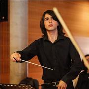 Profesor de lenguaje musical, historia de la música, armonía, análisis, educación auditiva para alumnos de todos los niveles (tanto conservatorio elemental, profesional como primaria/secundaria)